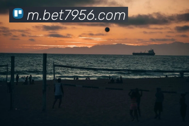 bet365com服务体系